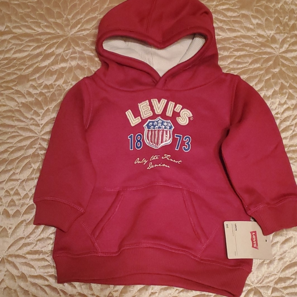 Levi's Baby Boy's Pullover Hoodie